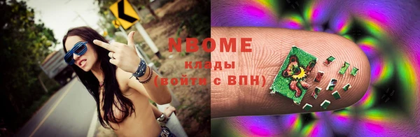 индика Богданович
