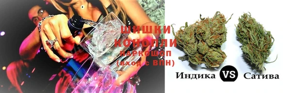 индика Богданович