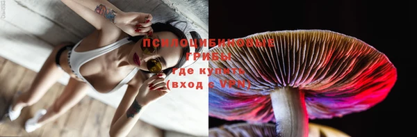 индика Богданович
