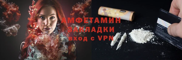 индика Богданович