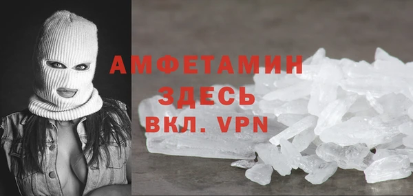 индика Богданович