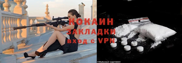 индика Богданович