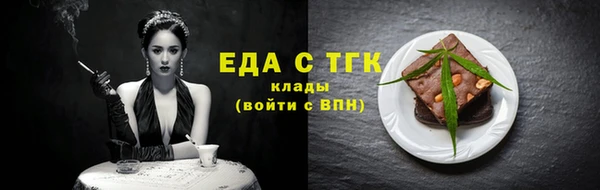 индика Богданович