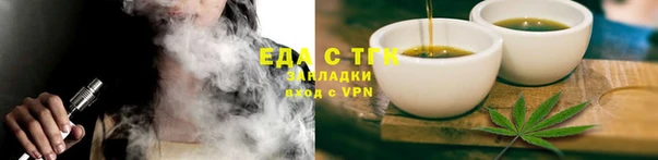 индика Богданович