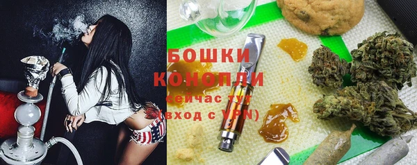 индика Богданович