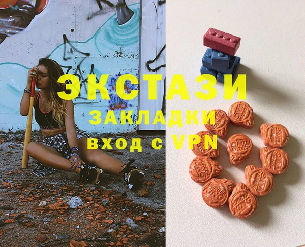 индика Богданович