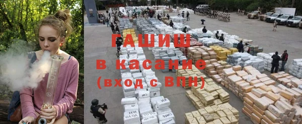 индика Богданович