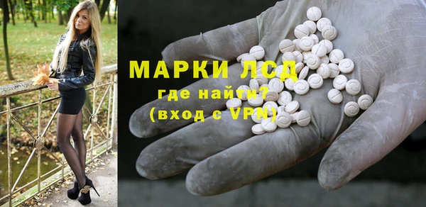 индика Богданович