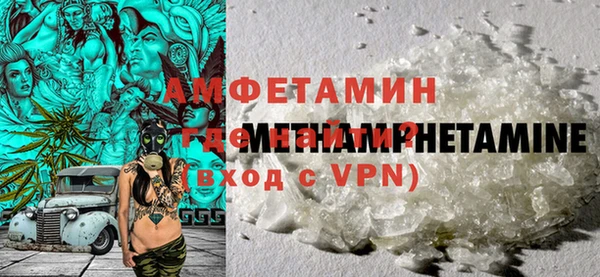 индика Богданович