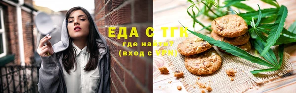 индика Богданович