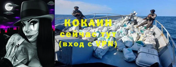 индика Богданович