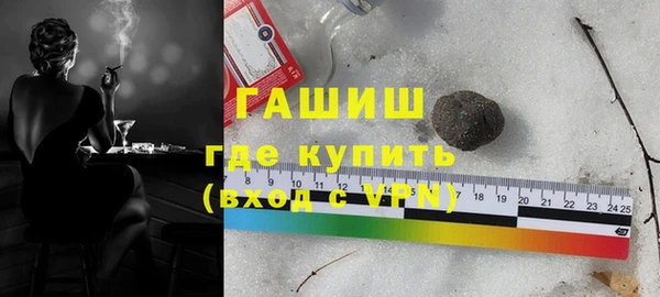 индика Богданович