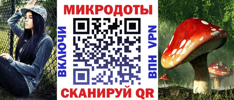 Псилоцибиновые грибы Psilocybe  купить   Светлый 